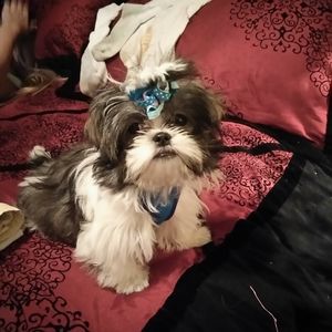 Meet your Posher, Joann